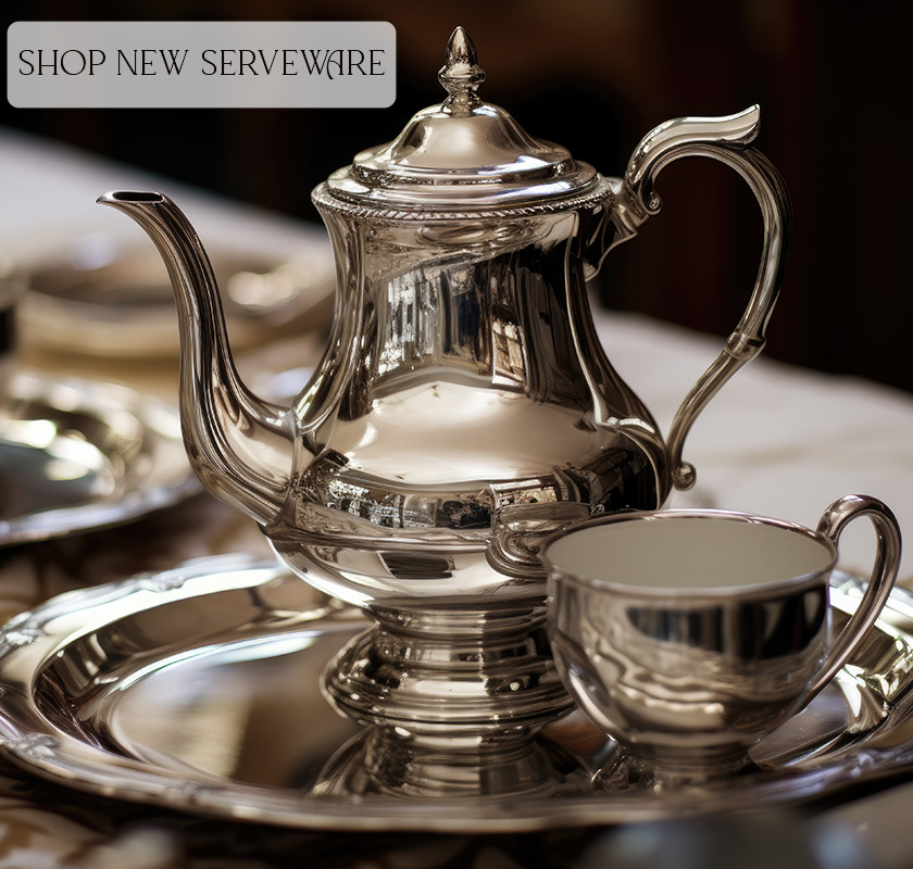 Stainless Steel Server